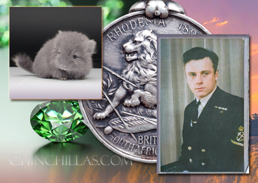 Feature Image for The Finding of Mr. X and the Gillingham Violet Chinchilla